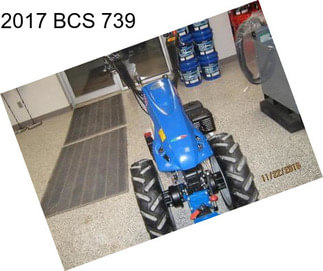 2017 BCS 739