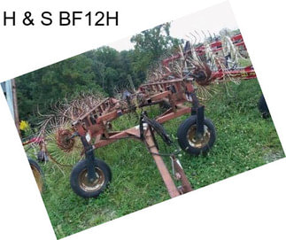 H & S BF12H
