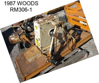 1987 WOODS RM306-1