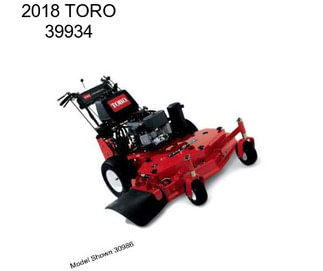 2018 TORO 39934