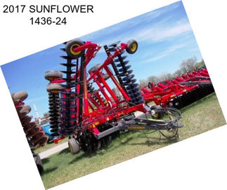 2017 SUNFLOWER 1436-24