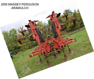 2005 MASSEY-FERGUSON ARAMULCH