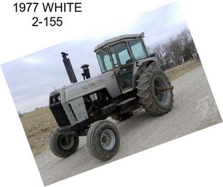 1977 WHITE 2-155