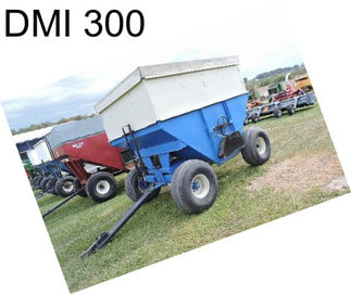 DMI 300