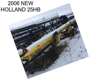 2006 NEW HOLLAND 25HB