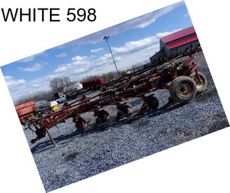 WHITE 598