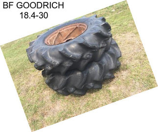 BF GOODRICH 18.4-30