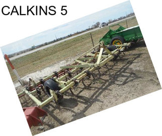 CALKINS 5