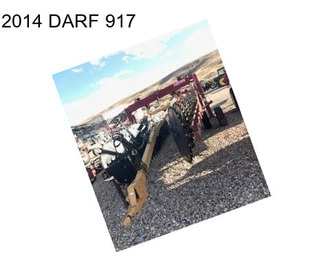 2014 DARF 917