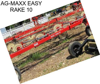 AG-MAXX EASY RAKE 10