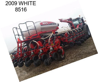 2009 WHITE 8516