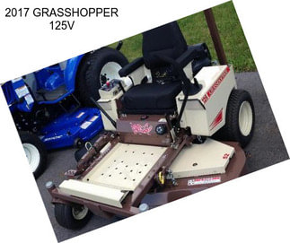 2017 GRASSHOPPER 125V