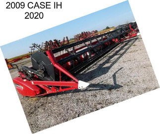 2009 CASE IH 2020