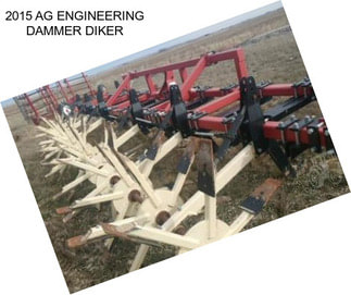 2015 AG ENGINEERING DAMMER DIKER