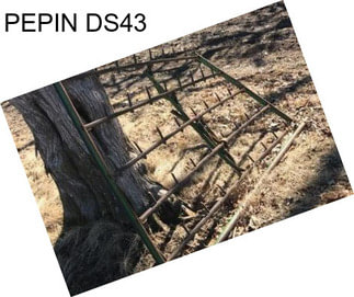 PEPIN DS43