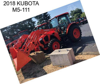 2018 KUBOTA M5-111