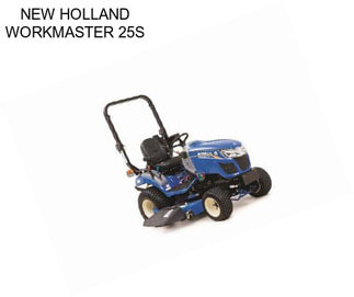 NEW HOLLAND WORKMASTER 25S