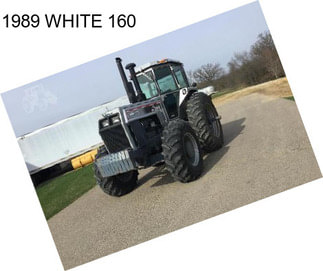 1989 WHITE 160