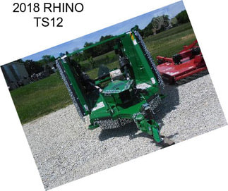 2018 RHINO TS12