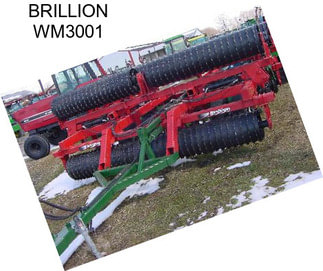 BRILLION WM3001