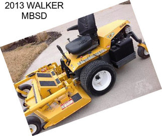 2013 WALKER MBSD