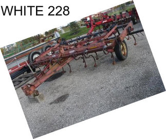 WHITE 228