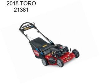 2018 TORO 21381