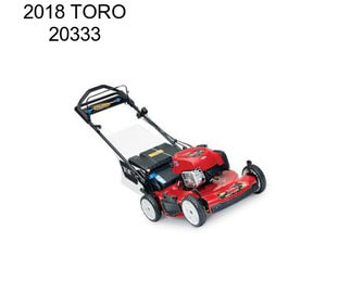 2018 TORO 20333
