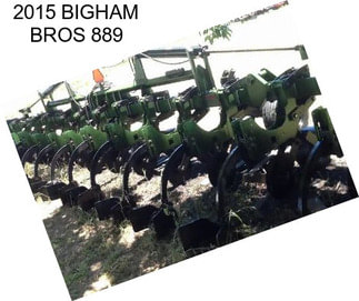 2015 BIGHAM BROS 889