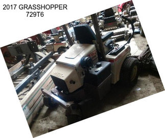 2017 GRASSHOPPER 729T6