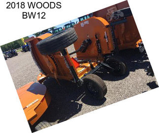 2018 WOODS BW12