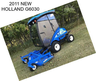 2011 NEW HOLLAND G6030