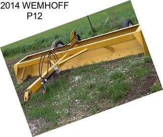 2014 WEMHOFF P12