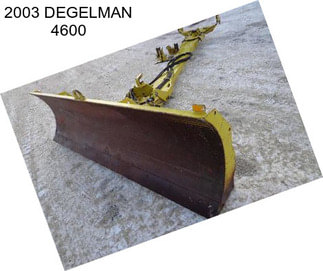 2003 DEGELMAN 4600