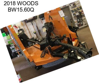 2018 WOODS BW15.60Q