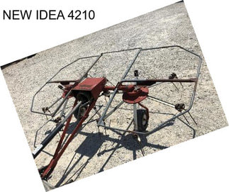 NEW IDEA 4210