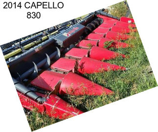 2014 CAPELLO 830