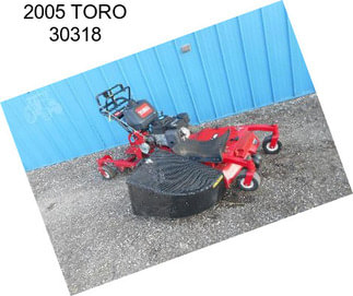 2005 TORO 30318