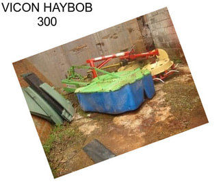 VICON HAYBOB 300