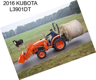 2016 KUBOTA L3901DT