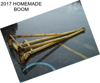 2017 HOMEMADE BOOM