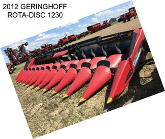 2012 GERINGHOFF ROTA-DISC 1230