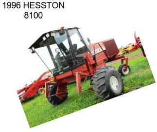 1996 HESSTON 8100