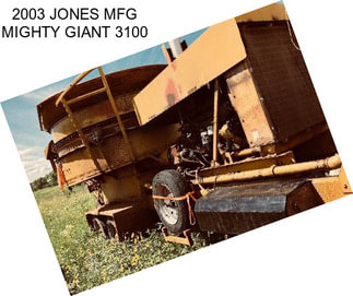 2003 JONES MFG MIGHTY GIANT 3100