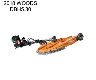 2018 WOODS DBH5.30