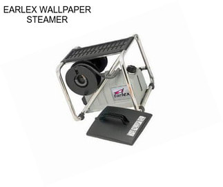 EARLEX WALLPAPER STEAMER