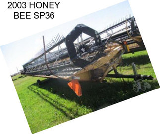 2003 HONEY BEE SP36