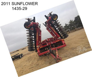 2011 SUNFLOWER 1435-29