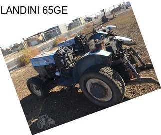 LANDINI 65GE