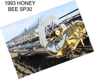 1993 HONEY BEE SP30
